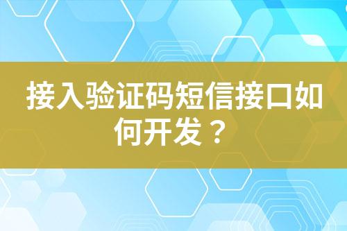 接入驗(yàn)證碼短信接口如何開(kāi)發(fā)？